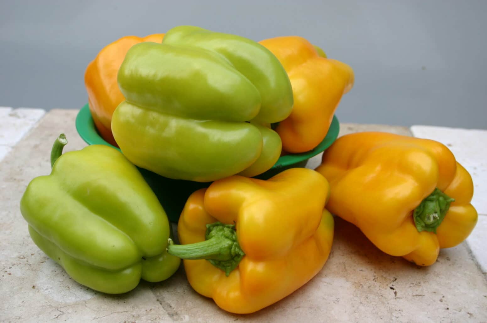 Flavorburst Bell Pepper Not Treated Seedway