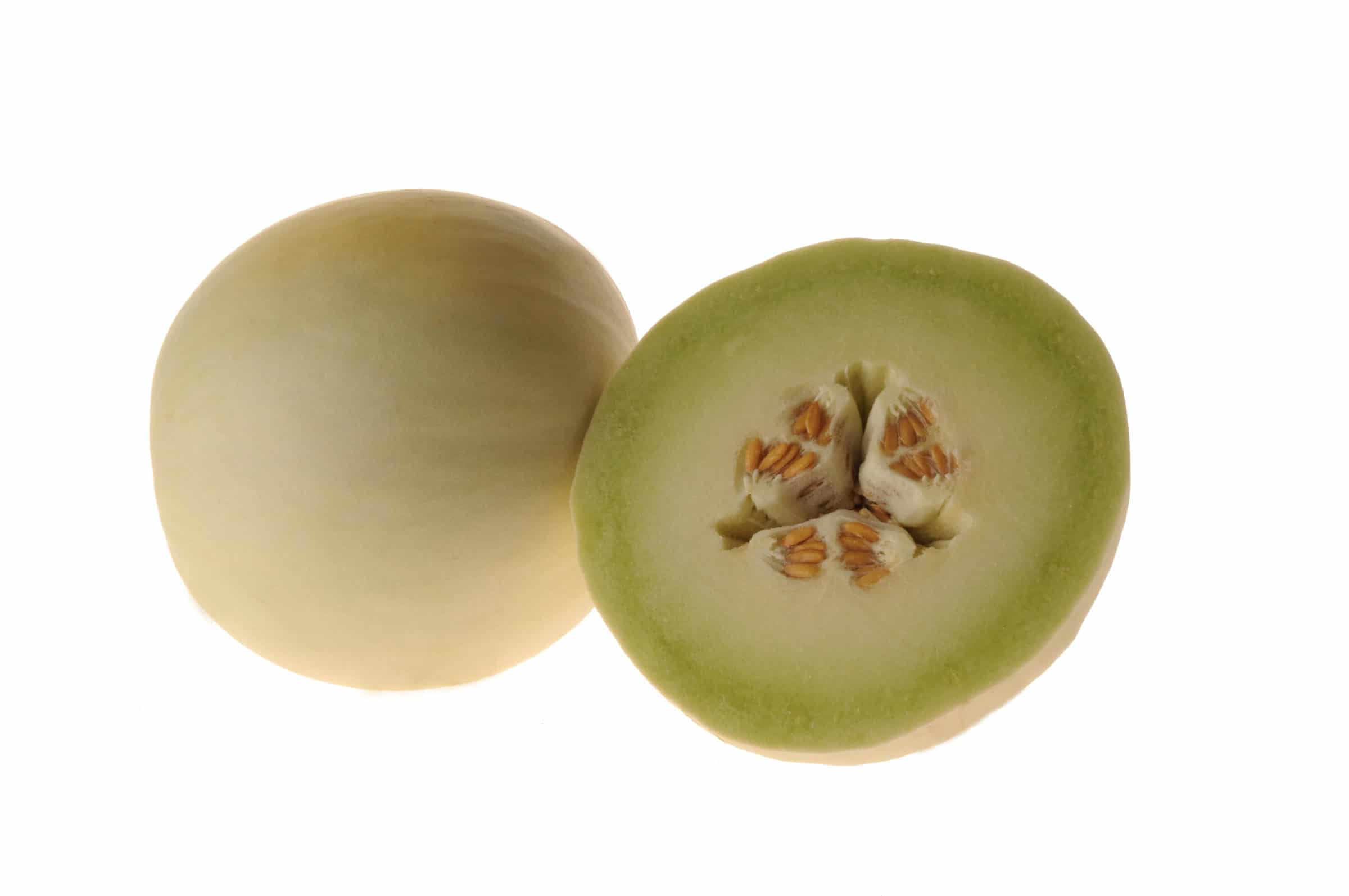 Honeydew Melon Whole – Freshio