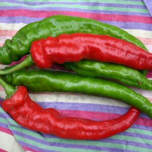 Mesilla Cayenne Pepper (Treated Seed) | Seedway