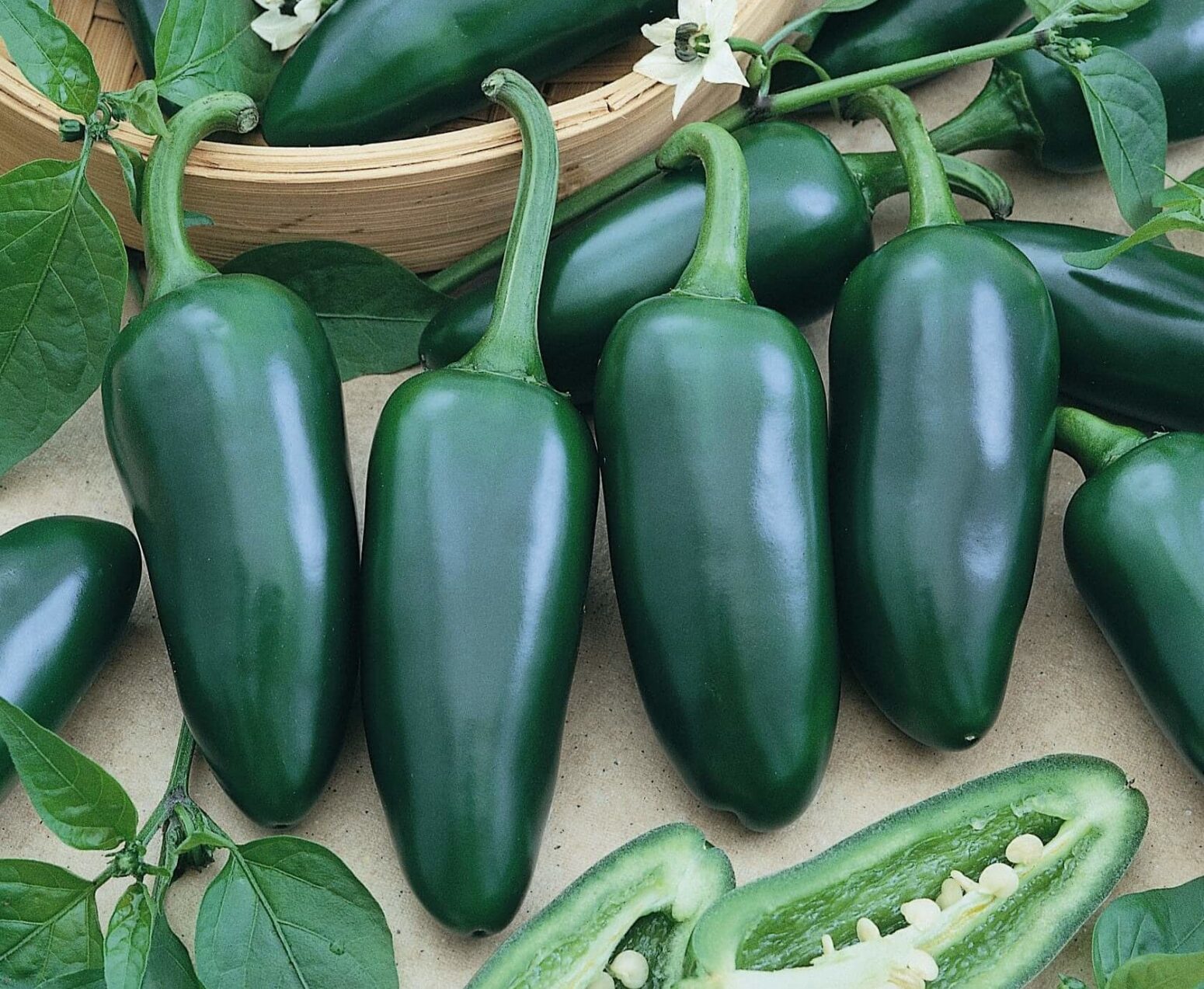 Jalapeno M Pepper | Seedway