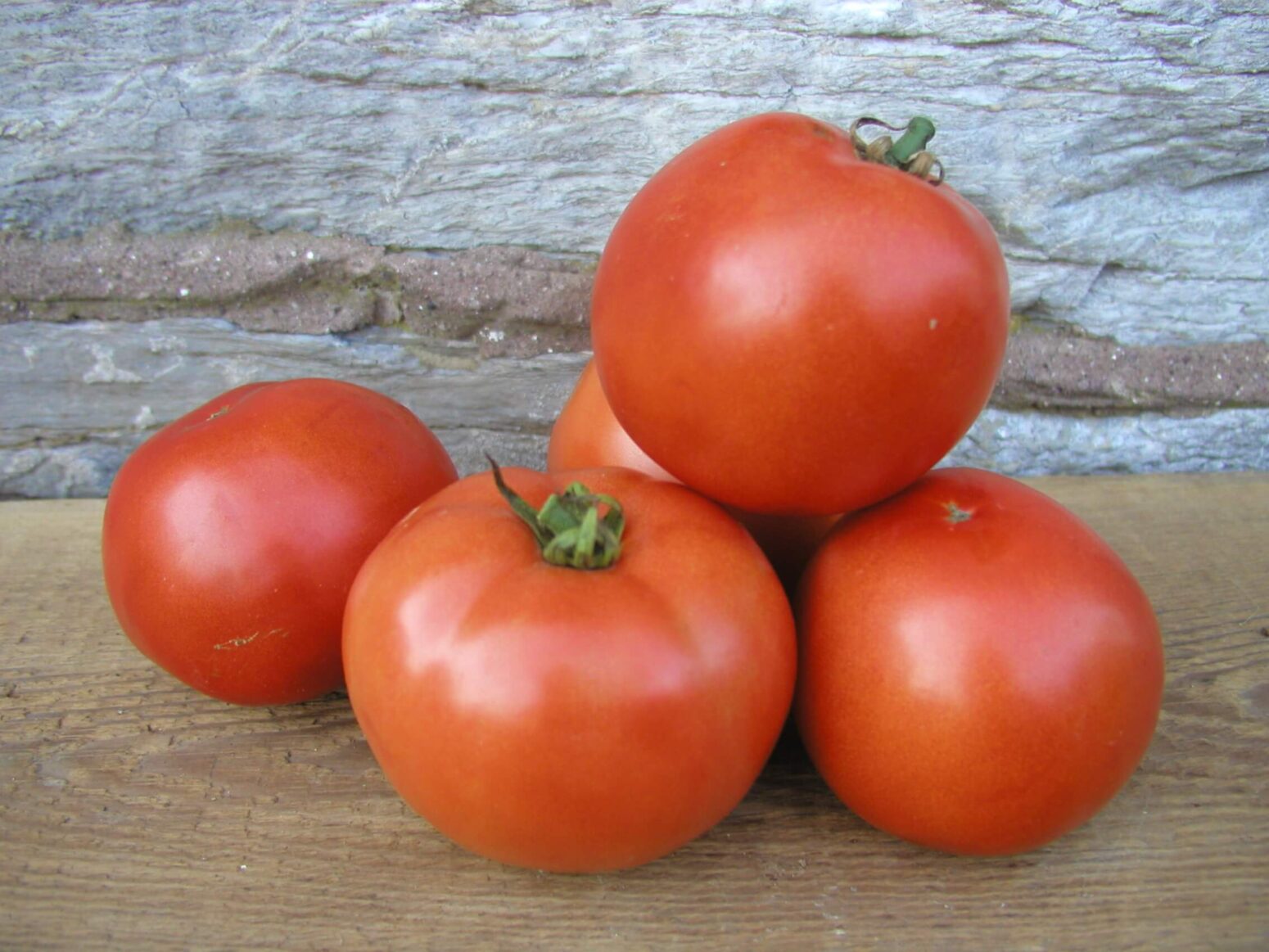 Early Girl Tomato (Treated Seed) Seedway