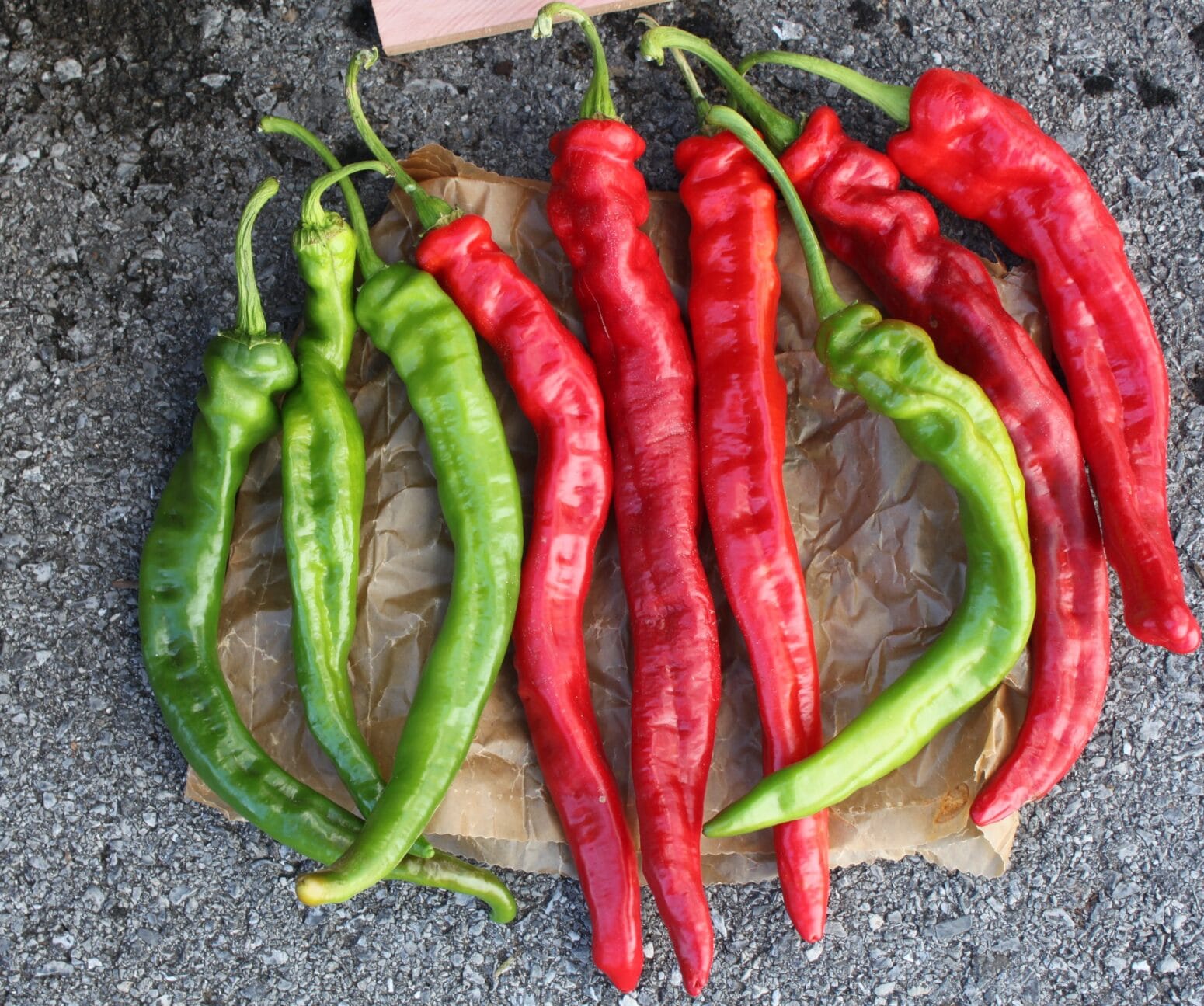 iberia-cayenne-pepper-not-treated-seedway