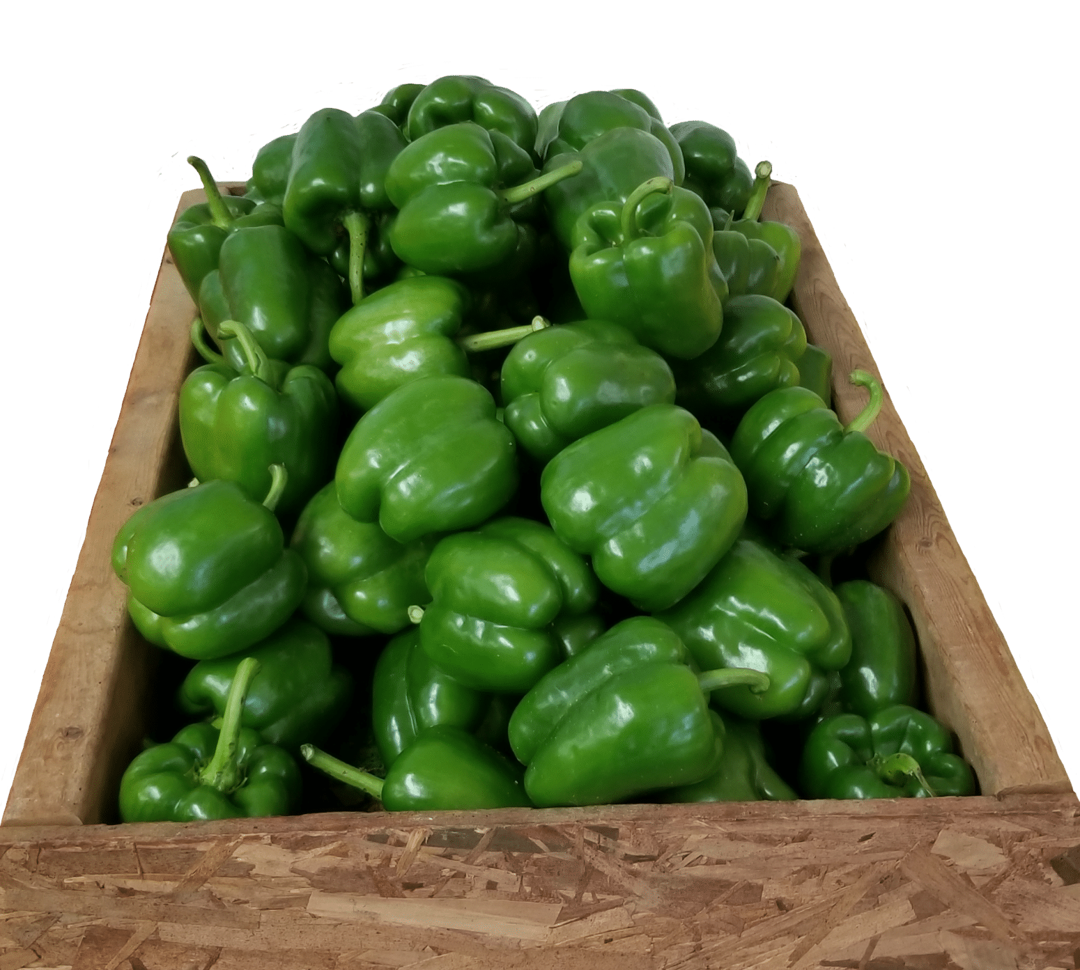 Boca Bell Pepper (Treated Seed) | Seedway