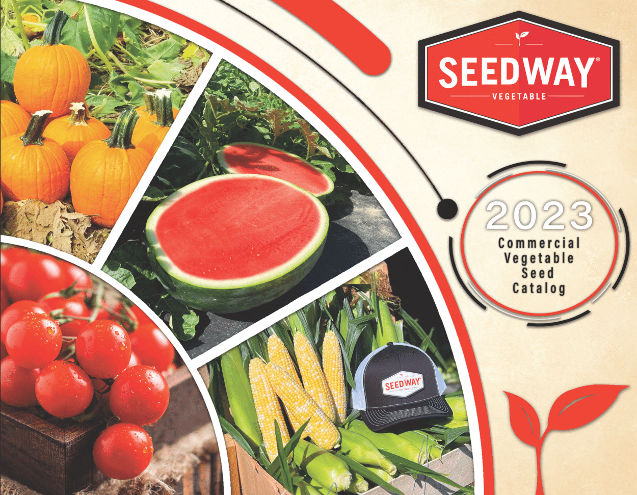 Vegetable Seed Seedway